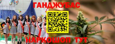 шишки Заводоуковск