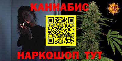 стаф Жуковский