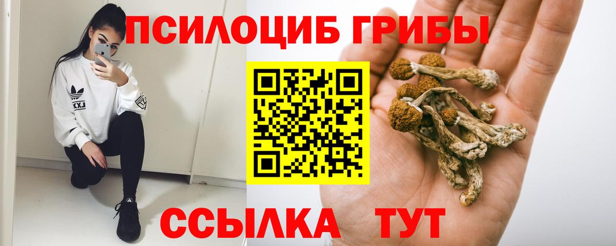Псилоцибиновые грибы MAGIC MUSHROOMS Людиново
